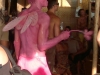 2012-02-24-170pembe-kelebek