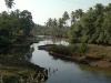 siolim-2012-02-24-126