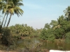 siolim-2012-02-24-133